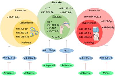 Small Things Matter: Relevance of MicroRNAs in Cardiovascular Disease